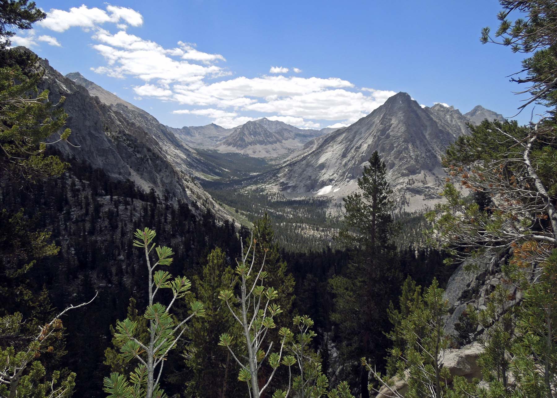 Vidette Meadow