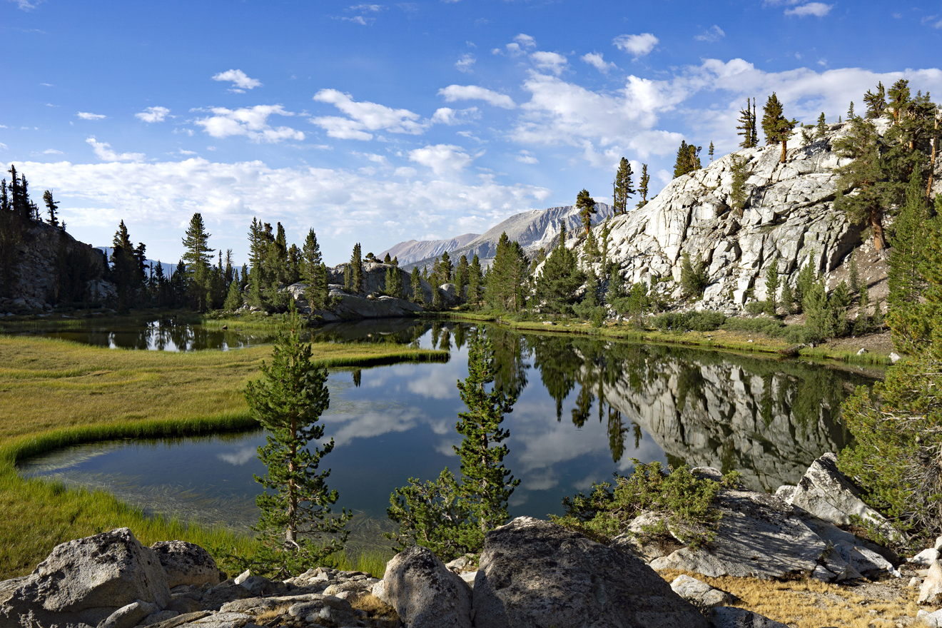 Tyndall Oasis